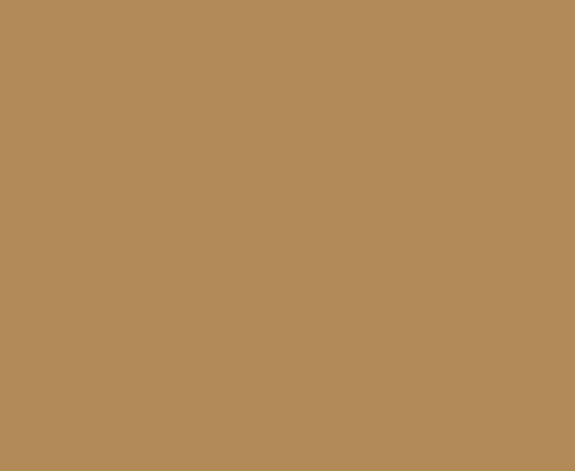 RAL 1011 (Brown Beige)